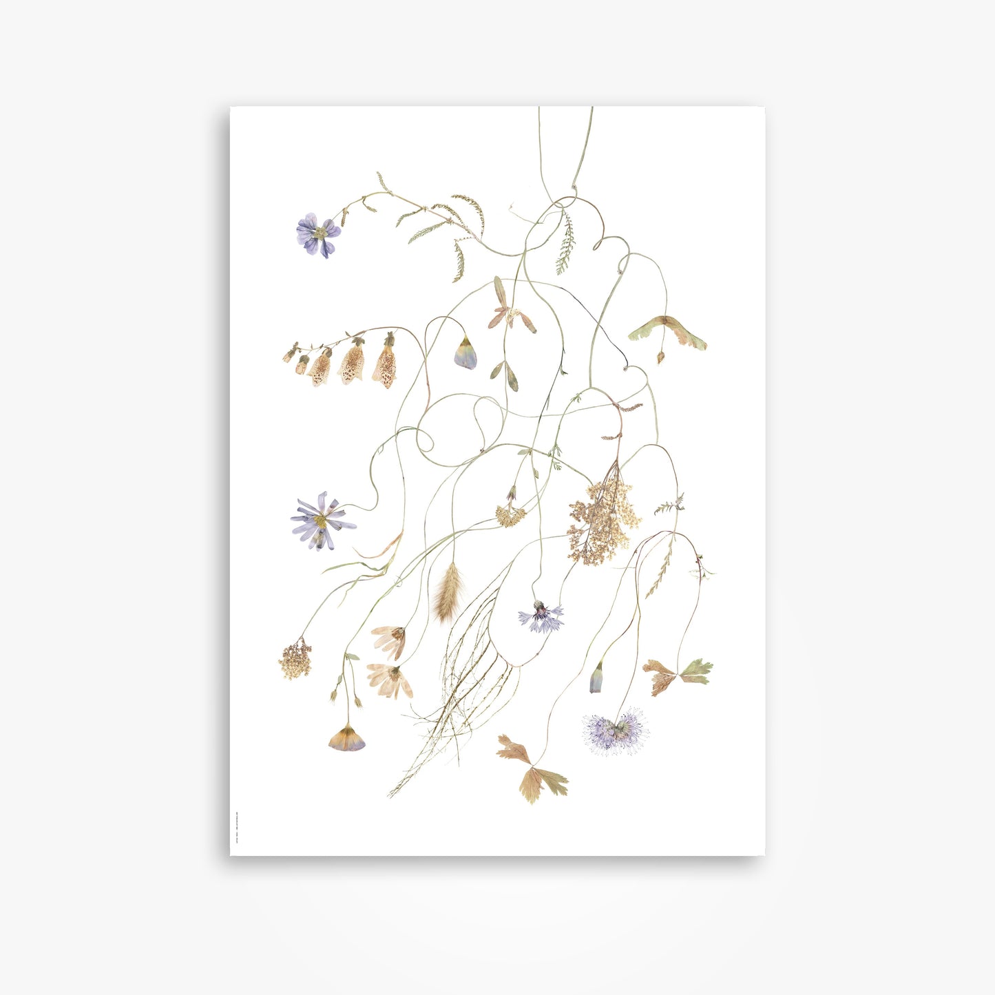 Flower Vane
