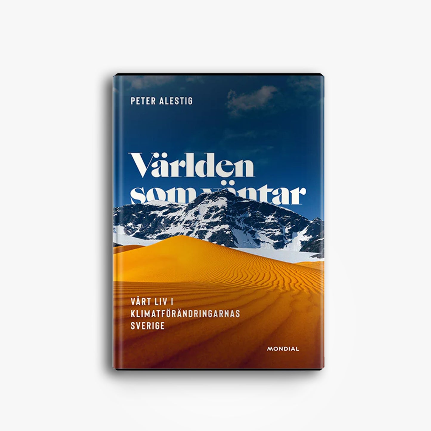 Världen som väntar