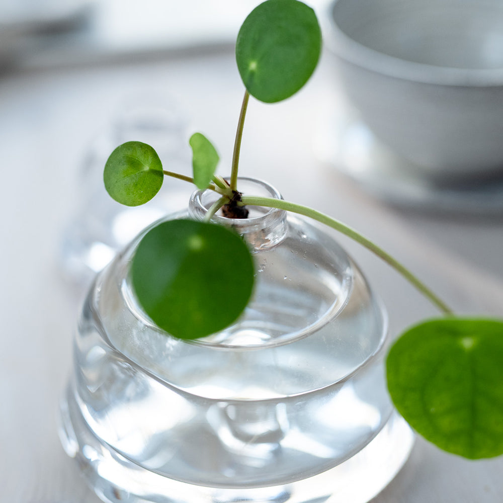 Grow